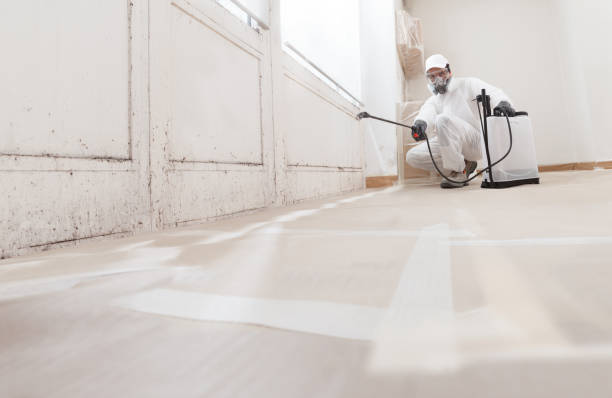 24/7 Emergency Mold Remediation experts in Basking Ridge, NJ